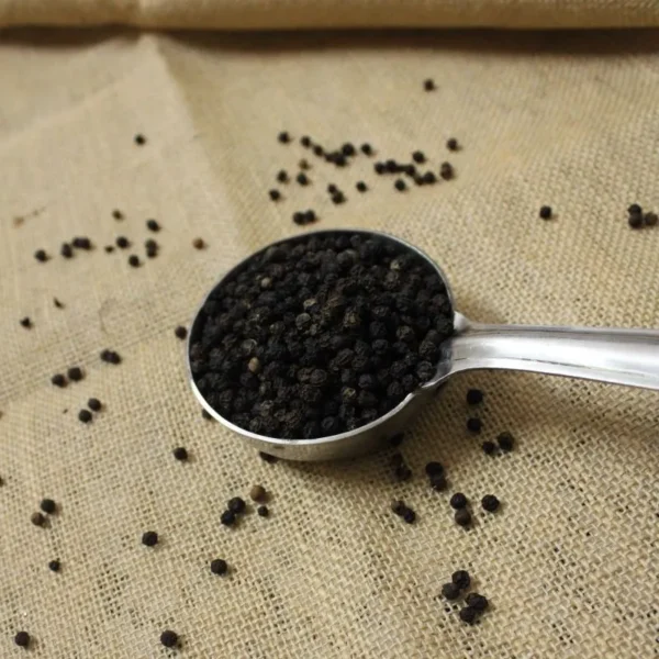 indian spices, masala spice, masalas Indian, spices taste of india, taste powder, india and spices, india and spices, natures spices, flavor spices, foods taste, garam masala