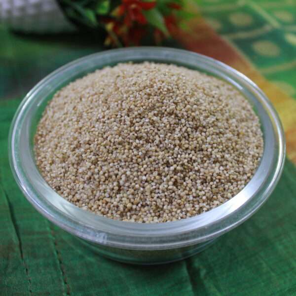 Barnyard Millet (ఉదల)